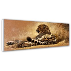 Little Rest - Canvas -...